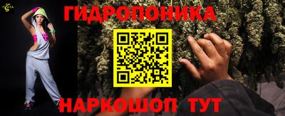 сатива Кудрово