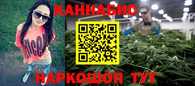 сатива Кингисепп