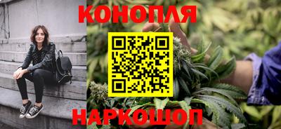 сатива Кингисепп