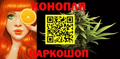 сатива Кудрово