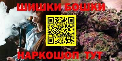 сатива Кингисепп