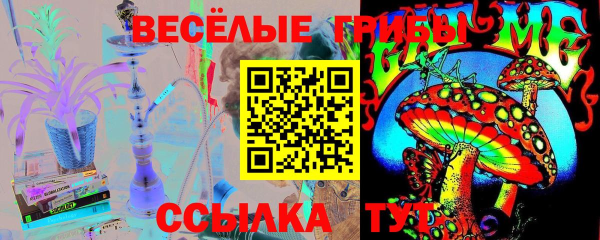 Псилоцибиновые грибы MAGIC MUSHROOMS Казань