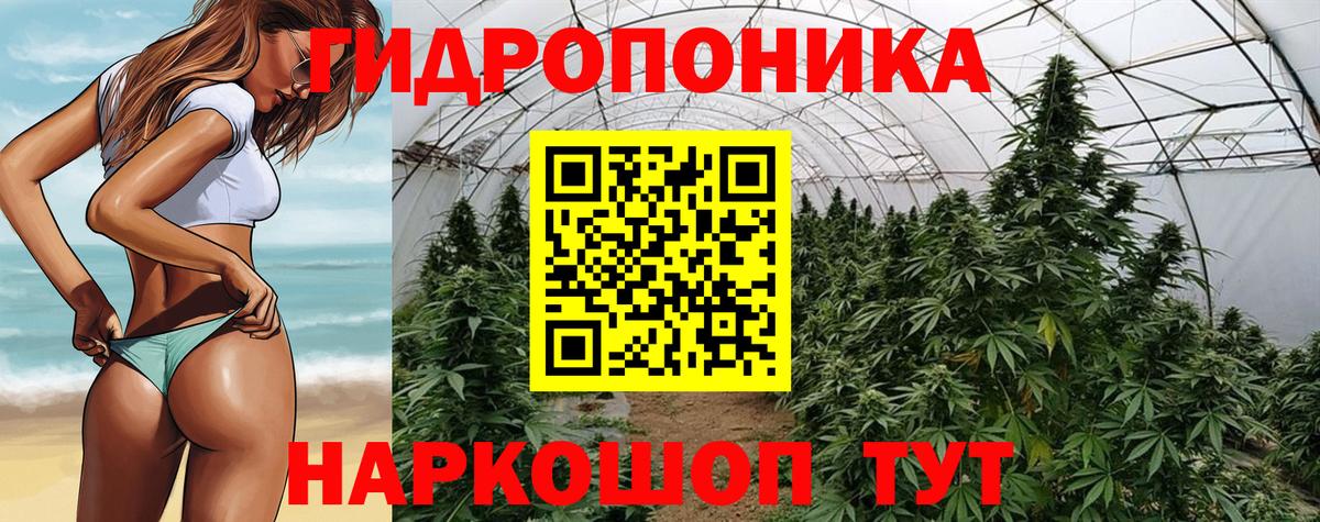 МАРИХУАНА ГИДРОПОН Казань